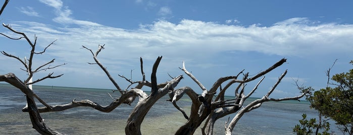 Anne's Beach is one of Florida Keys.