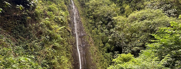 Mānoa Falls is one of Hawai’i.