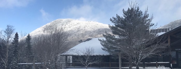 Pico Peak is one of Tempat yang Disukai Joe.