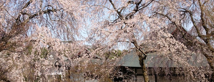 Sogenchi Garden is one of Travel : Sakura Spot.