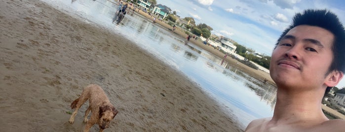 Brighton Beach Dog Park is one of Fab places in Melbourne: eat, drink & shop.