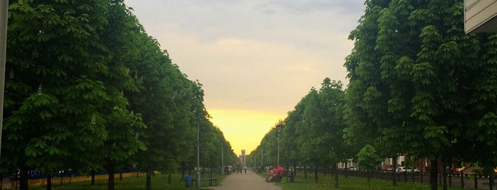 Каштанова алея / The Сhestnut alley is one of Poltava.