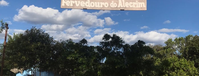 Fervedouro do Alecrim is one of Locais curtidos por Heloisa.