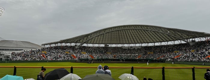 Okinawa Cellular Stadium Naha is one of IUゆかりの地.
