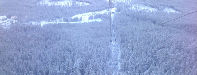 Banff Gondola is one of Seilbahnen der Welt | World's Ropeways.