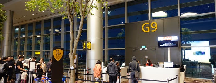 Gate G9 is one of SIN Airport Gates.