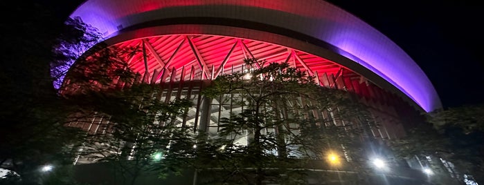 Philippine Arena is one of Shank'ın Beğendiği Mekanlar.