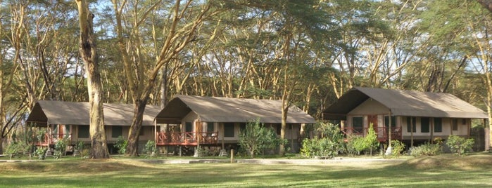 Marina Camp is one of Locais curtidos por BGA.