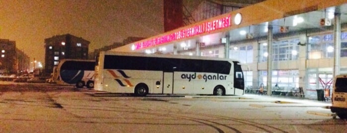 Niğde Şehirler Arası Otobüs Terminali is one of Posti che sono piaciuti a Yunus.