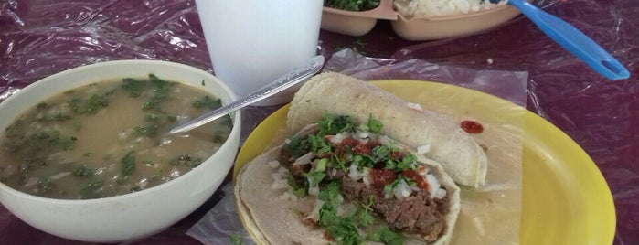 Barbacoa "El Güero" is one of Desayuno Mamalon.