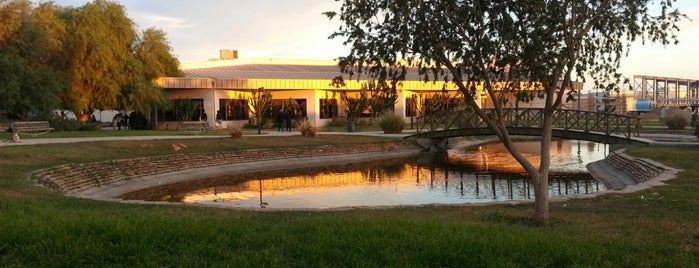 Uluslararası Kıbrıs Üniversitesi is one of Eylul.