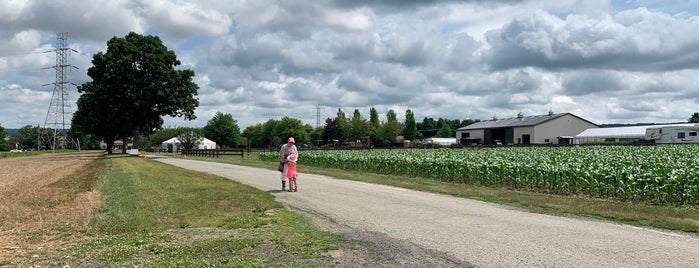 Donaldson Farms is one of Farms/Fruit Picking.