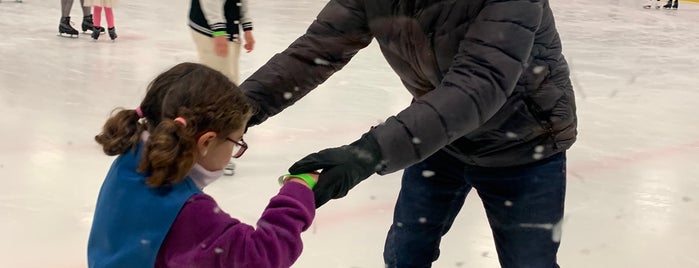 William G. Mennen Sports Arena is one of Summer Synchro Experiences.