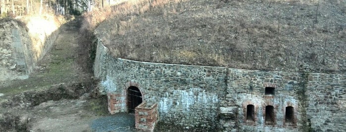 Fort Radíkov is one of Výlety a vyžití se psem Olomouc.