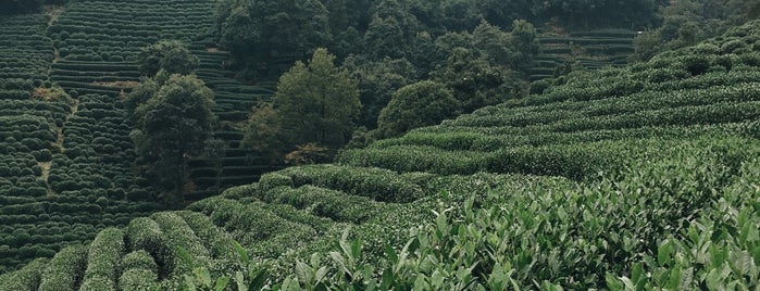 Long Jing Village is one of China Favorites.