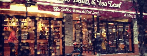 The Coffee Bean & Tea Leaf is one of Coffee Shops for Mentor Week.