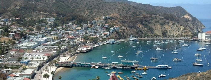 Santa Catalina Island is one of LA Places of interest.
