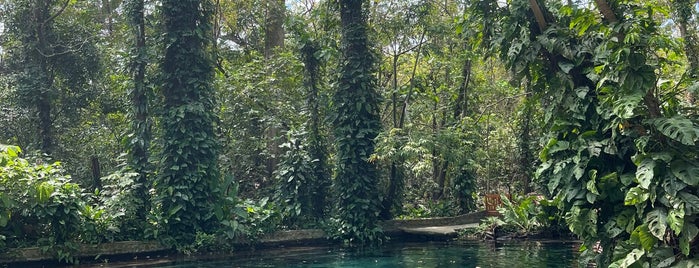 Ojo De Agua Reserva Natural  Privada is one of Nicaragua.