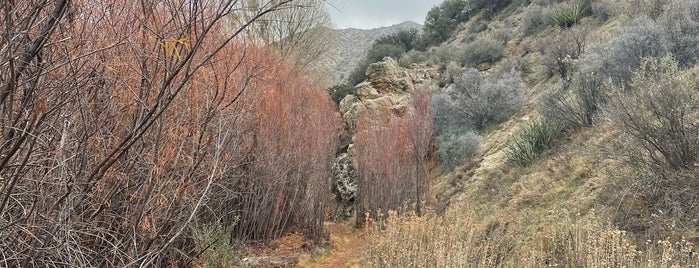 Big Morongo Canyon Preserve is one of Locais curtidos por eric.