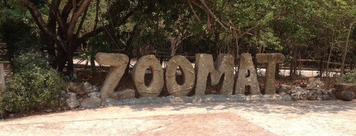 Zoológico Miguél Álvarez del Toro - ZOOMAT is one of Tuxtla.