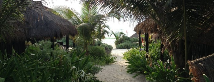 Retiro Maya Tulum is one of Johnさんのお気に入りスポット.