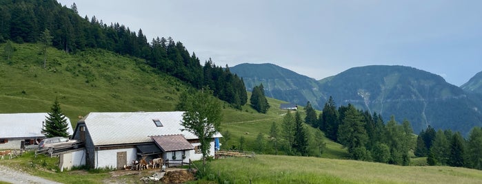 Bergalm is one of Ausflugsziele.