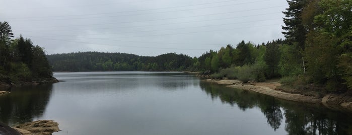 Forstsee is one of Alpen-Tips.