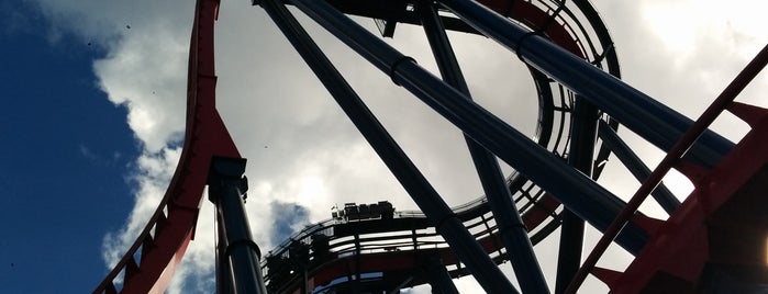 SheiKra is one of Viniciusさんのお気に入りスポット.