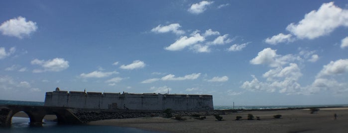 Forte dos Reis Magos is one of สถานที่ที่ Vinicius ถูกใจ.