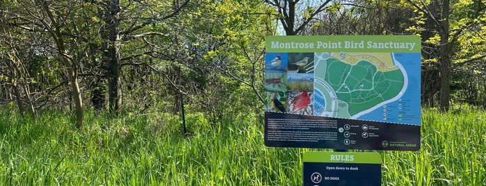 Montrose Point Bird Sanctuary is one of The 15 Best Scenic Lookouts in Chicago.