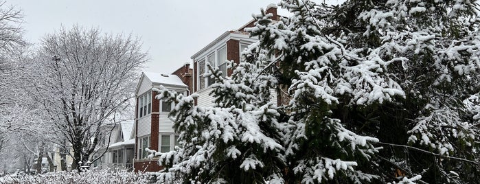 Portage Park Neighborhood is one of chicago neighborhoods.