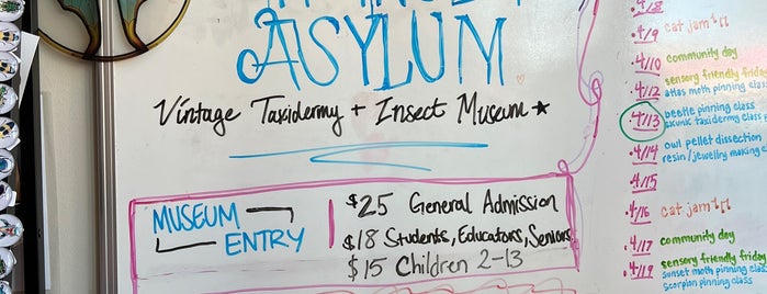 insect asylum is one of Ideas for Kids.