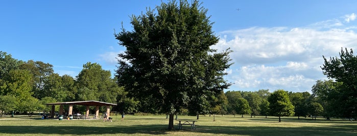 North Park Neighborhood is one of Lieux qui ont plu à Donna.