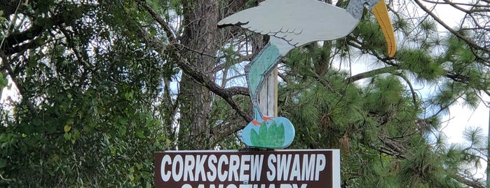 Audubon's Corkscrew Swamp Sanctuary is one of seen onscreen part 2.