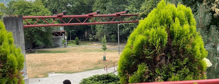 Dr. Blanche S. Lavizzo Park is one of Seattle's 400+ Parks [Part 1].