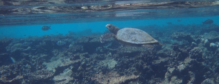 Sundowner Beach is one of Funamadua.