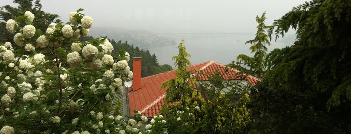 Ticaret Odasi Koru Restoran is one of Deniz Manzaralı.