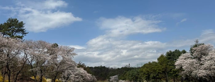 Nam Seoul CC is one of 다녀온 골프장.