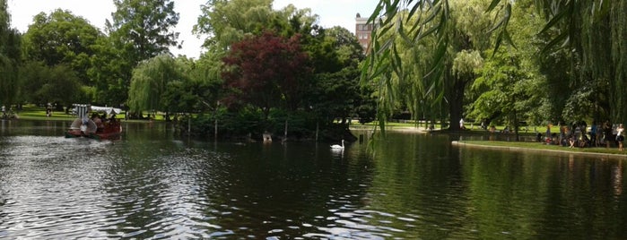 Boston Public Garden is one of hot places in boston&cambridge.