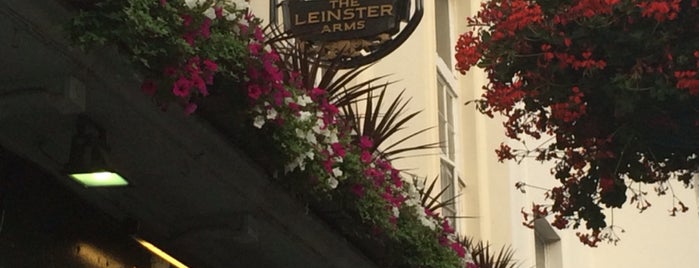 Leinster Arms is one of Locais curtidos por corinne.