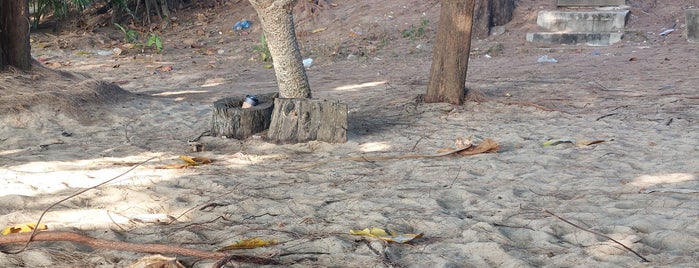 Naithon Beach is one of Yapılacak Şeyler.