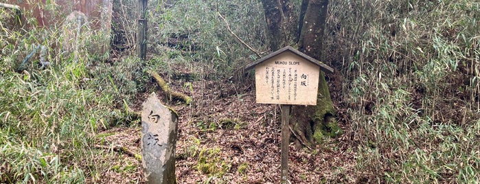 向坂 is one of 横浜周辺のハイキングコース.