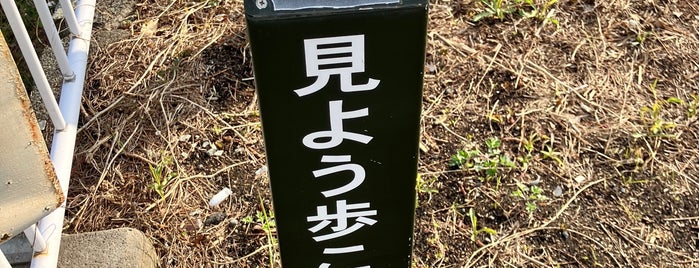 沼田新田 一里塚跡 is one of 東海道一里塚.