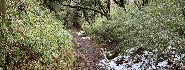 Old Tokaido Highway is one of 日本.