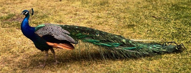 王立植物園 is one of London, UK.