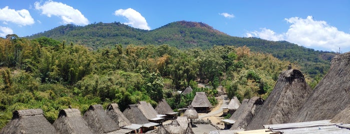 Bena Traditional Village is one of Indopinda.
