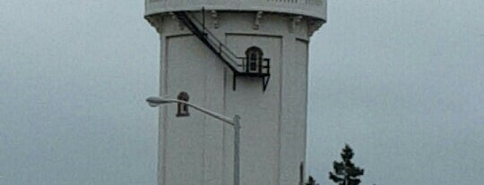 Brainerd Water Tower is one of venues I made.