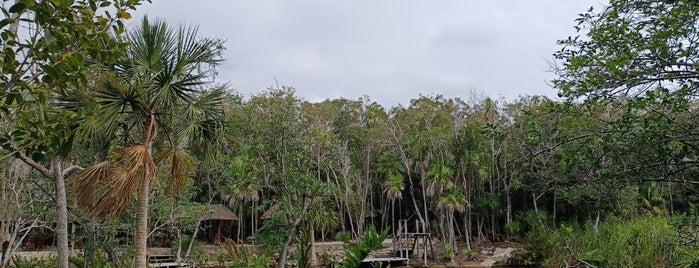 Cenote Corazón Del Paraiso is one of PENDIENTE.