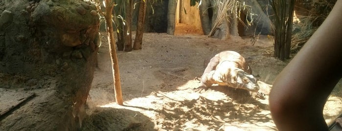 Reptile House - Turtle Back Zoo is one of สถานที่ที่บันทึกไว้ของ Lizzie.