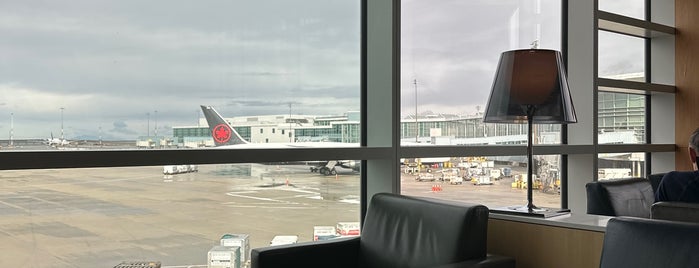 Maple Leaf Lounge (International) is one of Air Canada Maple Leaf Airport Lounges.